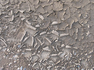 Image showing Peeling mud