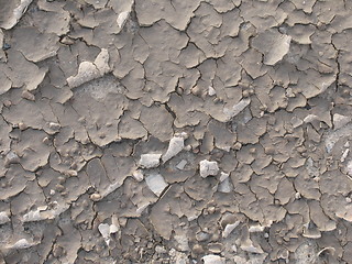 Image showing Peeling mud