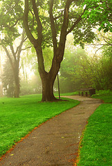 Image showing Foggy park