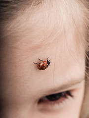 Image showing Ladybird bug walking across forehead of a girl with downwards an