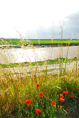 Image showing Landscape in Brittany