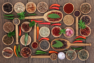 Image showing Herb and Spice Food Sampler