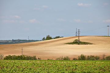 Image showing Agircutural field