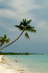 Image showing Ocean Beach