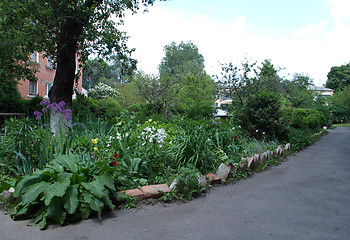 Image showing trees and flowers