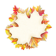 Image showing Autumn frame with fall leaf. EPS 10
