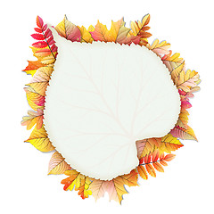 Image showing Autumn frame with fall leaf. EPS 10