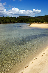 Image showing  lagoon and coastline