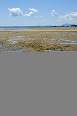 Image showing lokobe reserve coastline and sand