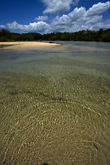 Image showing coastline and lagoon