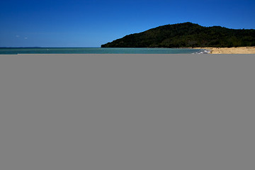 Image showing lowtide and a tree