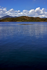 Image showing coastline