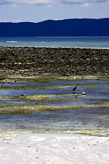 Image showing  lagoon of nosy iranja