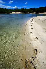 Image showing footstep