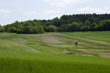 Image showing Landscape in the south of Czech Republic