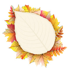 Image showing Autumn frame with fall leaf. EPS 10