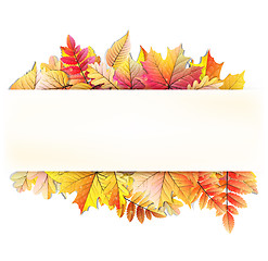 Image showing Autumn frame with fall leaf. EPS 10