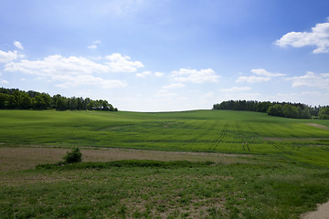 Image showing Landscape in the south of Czech Republic