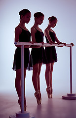 Image showing Ballerinas stretching on the bar