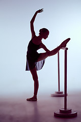 Image showing Ballerina stretching on the bar