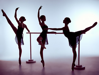 Image showing Ballerinas stretching on the bar