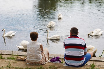 Image showing Woman, man and swans on river