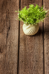 Image showing fresh fennel full of vitamins and fibers