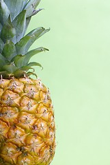 Image showing Pineapple