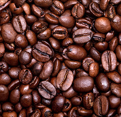 Image showing Roasted coffee beans