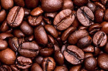 Image showing Roasted coffee beans