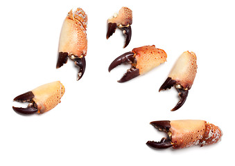 Image showing Cooked pincers from crab