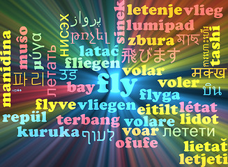 Image showing Fly multilanguage wordcloud background concept glowing