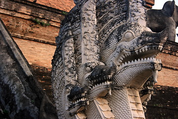 Image showing The dragons