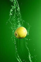 Image showing Green apple with water splash, on green