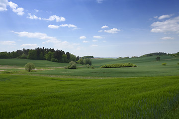 Image showing Landscape in the south of Czech Republic