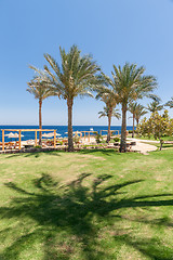 Image showing Beach at the luxury hotel, Sharm el Sheikh, Egypt