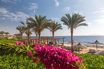 Image showing Beach at the luxury hotel, Sharm el Sheikh, Egypt