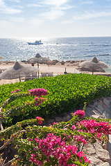 Image showing Beach at the luxury hotel, Sharm el Sheikh, Egypt