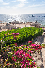 Image showing Beach at the luxury hotel, Sharm el Sheikh, Egypt