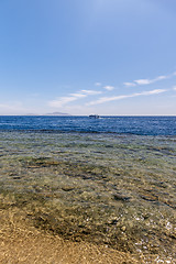 Image showing Panorama of the beach at reef, Sharm el Sheikh