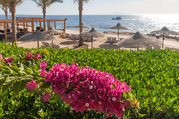 Image showing Beach at the luxury hotel, Sharm el Sheikh, Egypt