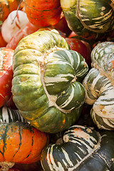 Image showing Bischofsmütze Turk Turban cucurbita pumpkin pumpkins from autum