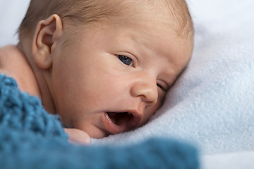 Image showing Close up Cute New Born Baby