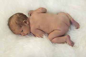 Image showing Cute New Born Baby Lying on White Cloth