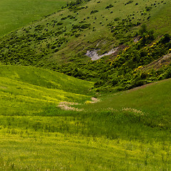 Image showing Green valley