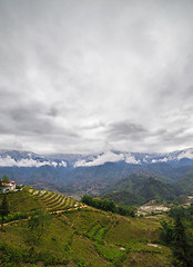 Image showing Rice field terraces. Sapa Vietnam