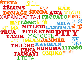 Image showing Pity multilanguage wordcloud background concept