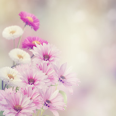 Image showing Flowers In The Garden