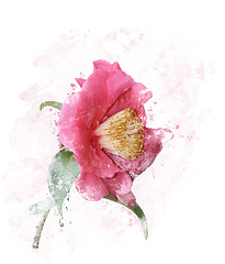 Image showing Rose Watercolor