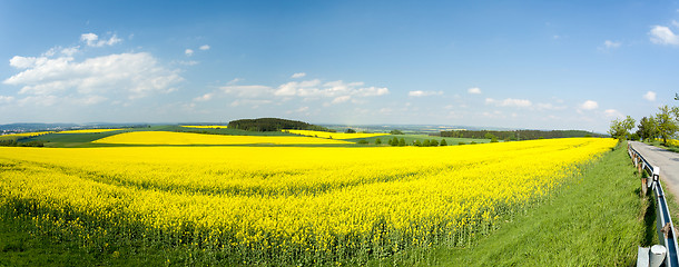Image showing Beautiful spring rural landscape